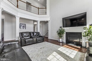 42058 Barrymoore Pl in Chantilly, VA - Building Photo