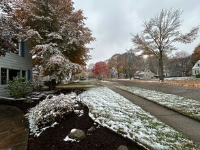 1009 S Kinney Ave in Mt. Pleasant, MI - Building Photo - Building Photo