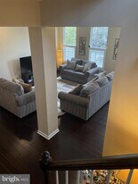 168 Fringetree Dr in West Chester, PA - Building Photo
