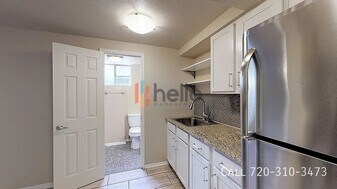 1041 Ammons St in Denver, CO - Building Photo