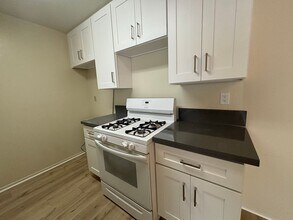 10241 Commerce Ave in Los Angeles, CA - Foto de edificio - Building Photo