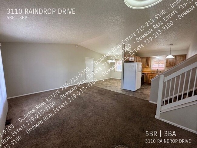 3110 Raindrop Dr in Colorado Springs, CO - Building Photo - Building Photo