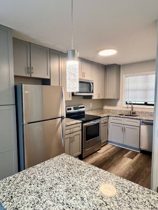 593 Star Light Dr in Fort Mill, SC - Building Photo