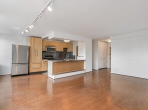 1455 N Sandburg Terrace in Chicago, IL - Building Photo - Building Photo