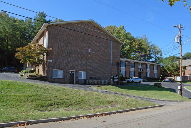 905 Teaberry Ln in Knoxville, TN - Building Photo - Building Photo