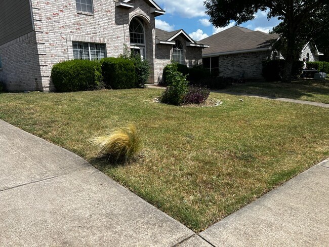 1008 Mockingbird Ln in Desoto, TX - Building Photo - Building Photo