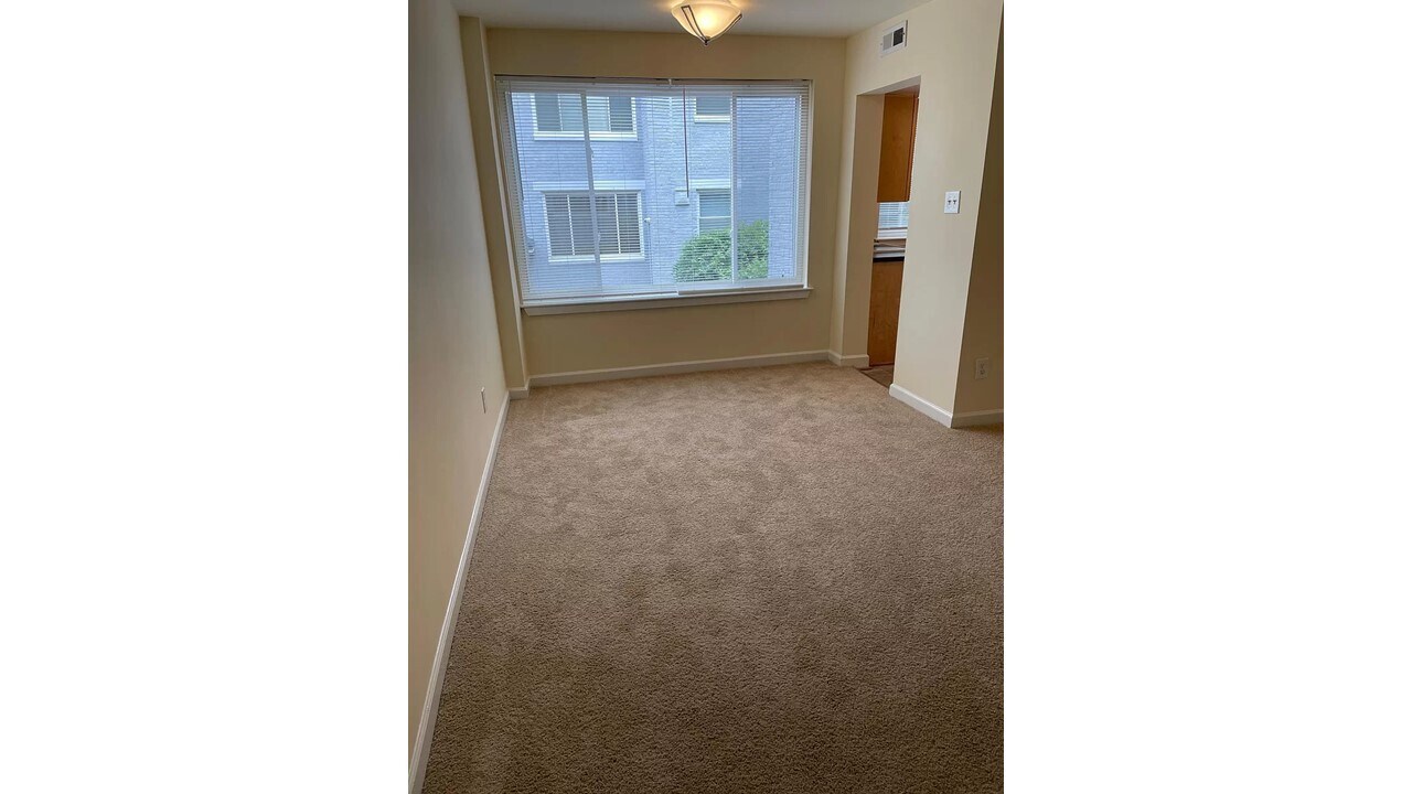 730 Brandywine St SE, Unit 104 in Washington, DC - Building Photo