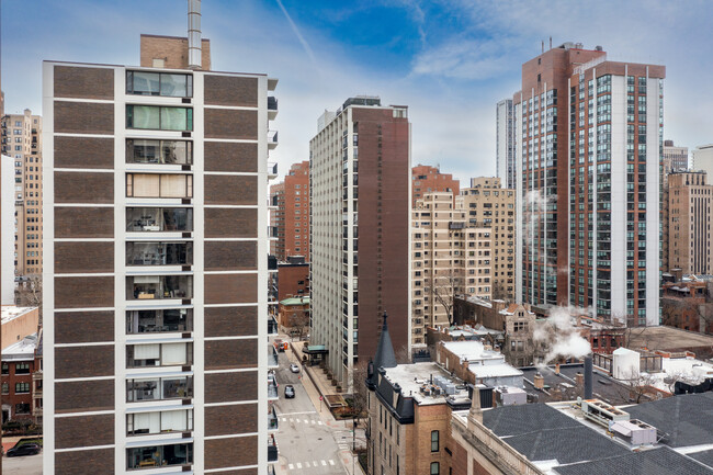 Schiller Tower in Chicago, IL - Building Photo - Building Photo