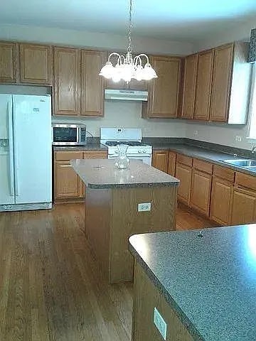 986 Cotherstone Pl in Antioch, IL - Building Photo - Building Photo
