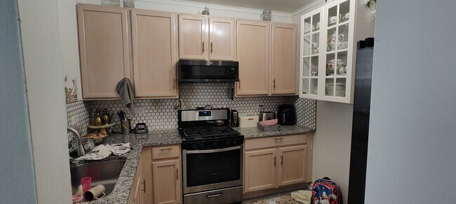 2505 Oneida Ln in Naperville, IL - Building Photo - Building Photo