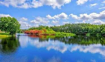 Serenity Lake Apartments in Tampa, FL - Building Photo - Building Photo