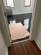 1380 Virginia Ave in Bronx, NY - Building Photo - Building Photo