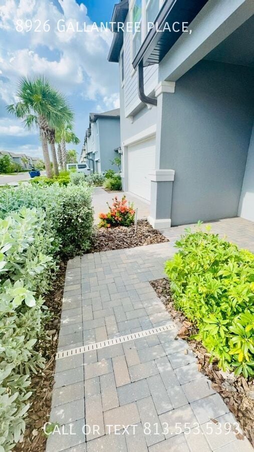 8926 Gallantree Pl in Land O Lakes, FL - Building Photo - Building Photo