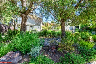 1339 Alma St in Palo Alto, CA - Building Photo - Building Photo