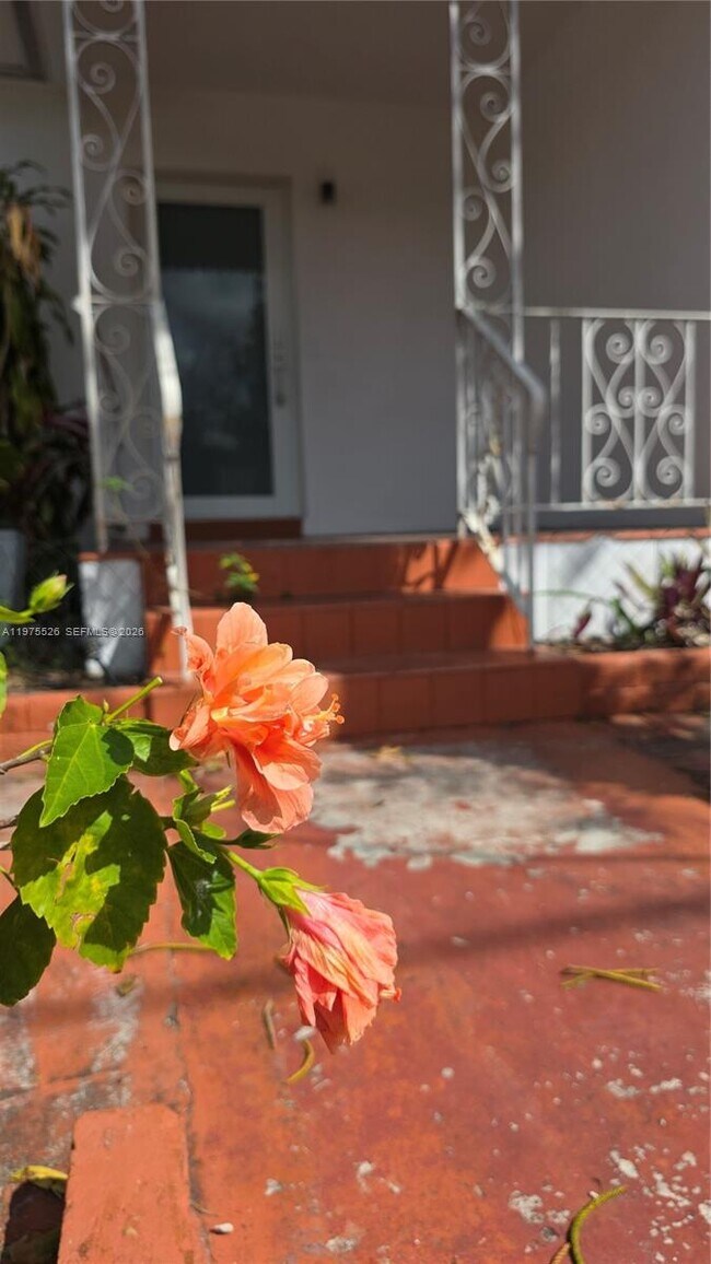 5715 NW 6th Ave in Miami, FL - Building Photo - Building Photo