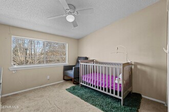 3021 Orkney Rd in El Paso, TX - Building Photo - Building Photo