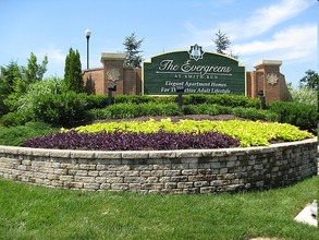 Evergreens at Smith Run in Fredericksburg, VA - Building Photo - Other