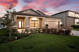 30950 Parrot Reef Ct in Wesley Chapel, FL - Building Photo