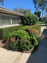 5146 Maple, Unit 5146 Maple Irvine CA in Irvine, CA - Building Photo - Building Photo