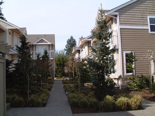 Roosevelt Townhomes in Seattle, WA - Building Photo