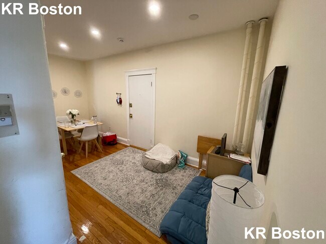 355 Chestnut Hill Ave in Boston, MA - Building Photo - Building Photo