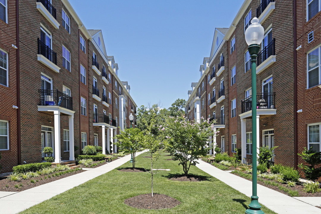 Belmont at City Center in Newport News, VA - Building Photo