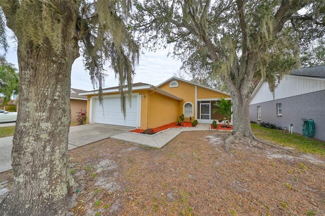 10828 Peppersong Dr in Riverview, FL - Building Photo - Building Photo