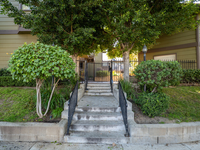 246 Alpine St, Unit #6 in Pasadena, CA - Building Photo - Building Photo