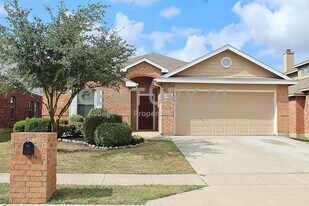 10453 Evening View Dr in Fort Worth, TX - Building Photo