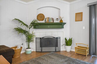 904 Melted Candle Cove in Pflugerville, TX - Building Photo - Building Photo