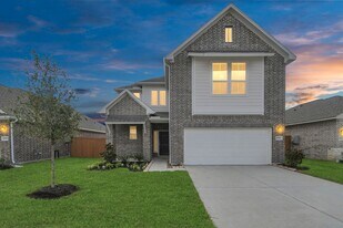 10606 Wildflower Vw Dr in Rosharon, TX - Building Photo