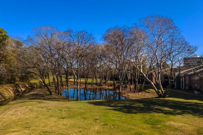 Live Oak in Houston, TX - Foto de edificio - Building Photo