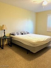 200 Fernwood Rd in Wintersville, OH - Building Photo - Building Photo