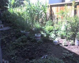 5756-5760 Nina Way in Sacramento, CA - Building Photo