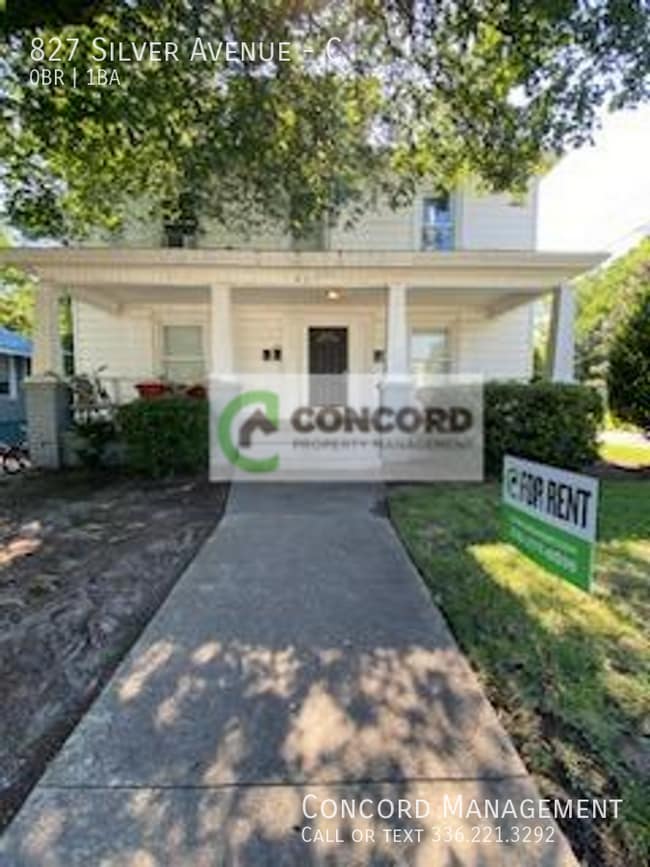 property at 827 Silver Ave