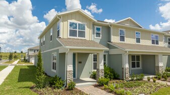 16350 Hamlin Vw St in Winter Garden, FL - Building Photo