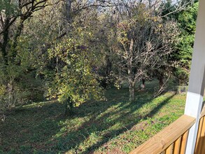 10 Avon Rd in Asheville, NC - Building Photo - Building Photo