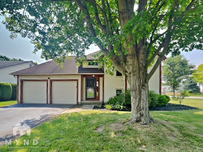 property at 3743 Lifford Ct