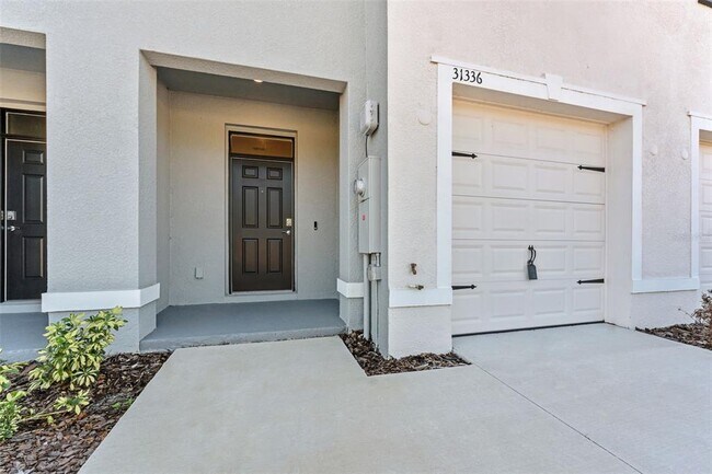 31336 Paper Birch St in Wesley Chapel, FL - Building Photo - Building Photo