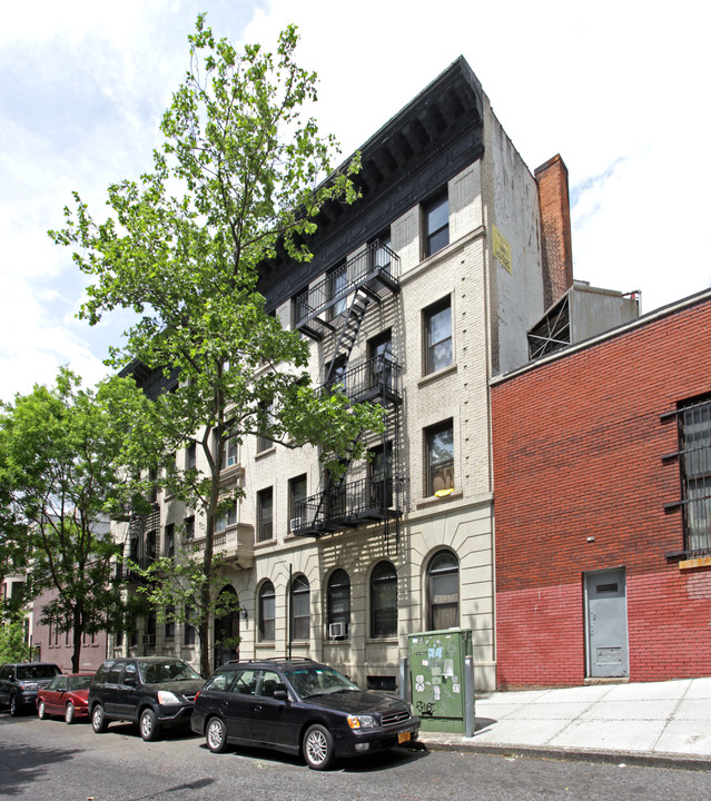 229 St Johns Pl in Brooklyn, NY - Foto de edificio