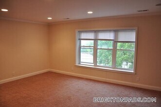 168 Newton St in Boston, MA - Building Photo - Building Photo