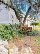 14412 Reuter Strasse Cir in Tampa, FL - Building Photo