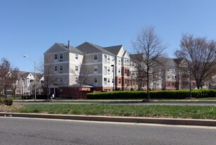 Senior Prince George S County Apartments For Rent Vistas At Lake Largo Senior Apartments 62