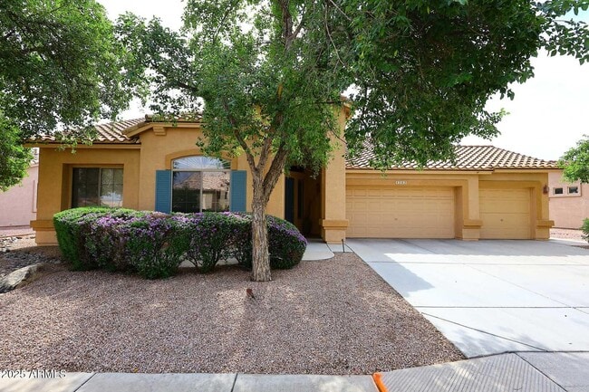 4263 E Cassia Ln in Gilbert, AZ - Foto de edificio - Building Photo