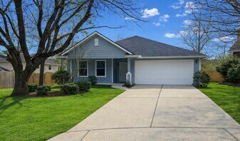 10 Druids Glen Pl in Spring, TX - Building Photo