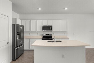 17205 Bigleaf Mahogany Ln in Land O Lakes, FL - Building Photo - Building Photo