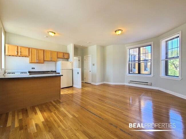 723 W Barry Ave, Unit 1 in Chicago, IL - Building Photo - Building Photo