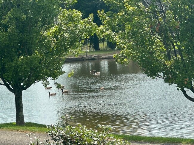 3 Forest Lake Dr in Tuscaloosa, AL - Building Photo - Building Photo