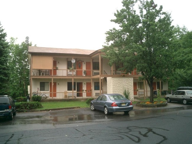 207 Old Chimney Ridge Rd in Montague, NJ - Foto de edificio - Building Photo