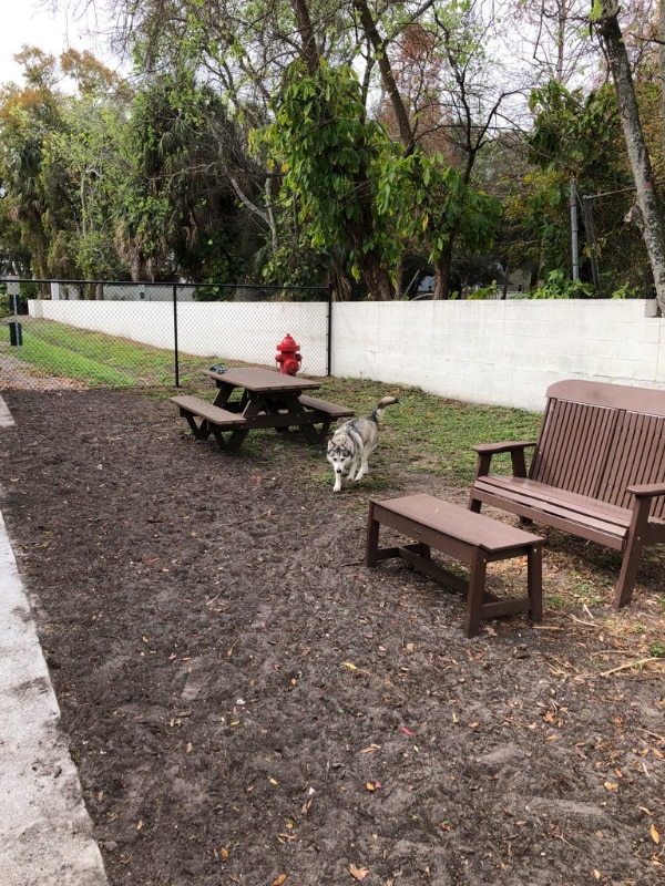 115 S Lois Ave, Unit 203 in Tampa, FL - Foto de edificio - Building Photo